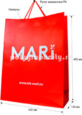 Вертикальный бумажный пакет по заказу компании TRK-MARI