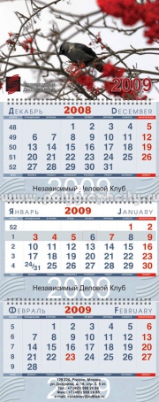 Квартальный календарь за 2009 г. XL-класса 400х220 мм, на 3-х пружинах