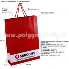 Пакет бумажный с логотипом вертикальный «SERCONS»