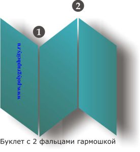 Буклет с двумя фальцами гармошкой