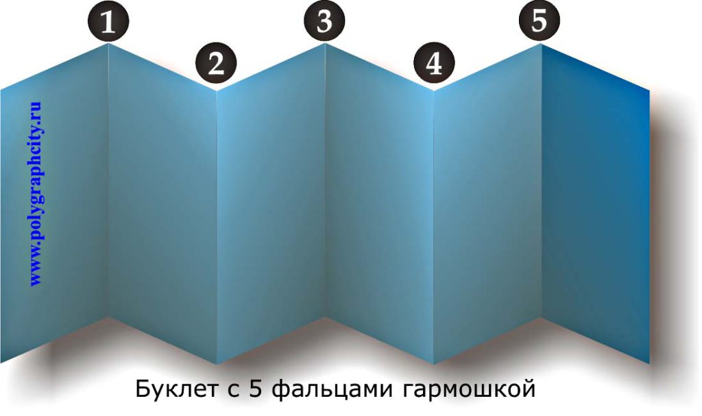 Буклет с пятью фальцами гармошкой