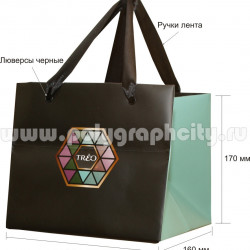 Пакет бумажный из Заказного штампа квадратный TREO