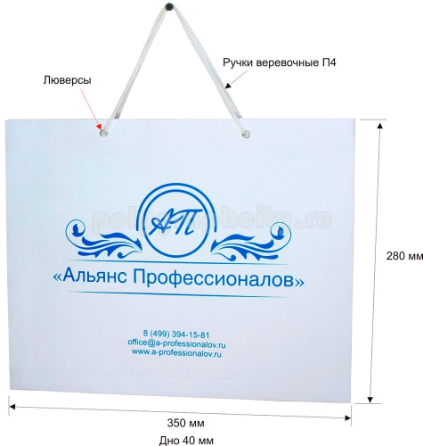 Горизонтальный бумажный пакет по заказу компании «АЛЬЯНС ПРОФЕССИОНАЛОВ»