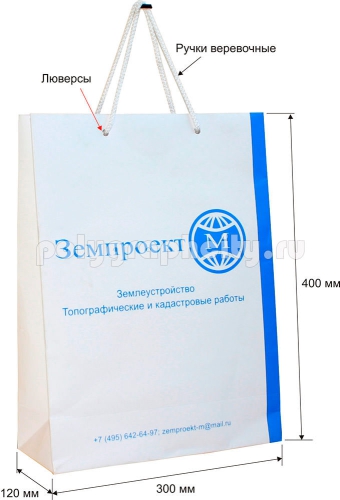 Пакет картонный вертикальный по заказу компании «ЗЕМПРОЕКТ»