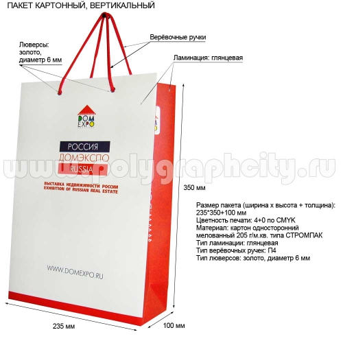 Бумажный пакет с логотипом вертикальный для выставки «DOMEXPO»