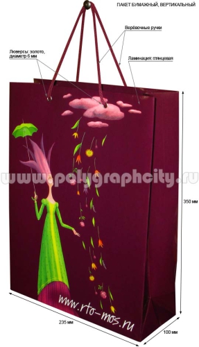 Бумажный пакет вертикальный для компании «РТО»