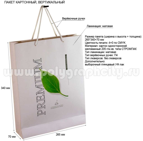 Пакет бумажный с логотипом вертикальный «Салонная Косметика»