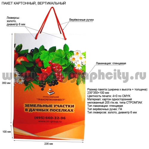 Рекламный бумажный пакет вертикальный «Трансрегионинвест»