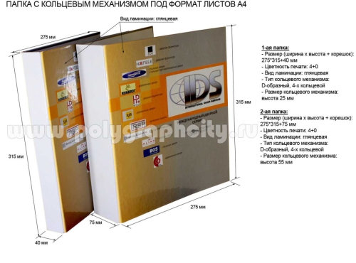 ПАПКА НА КОЛЬЦАХ С 4-Х КОЛЬЦЕВЫМ МЕХАНИЗМОМ и С КАРМАШКОМ ПОД ВИЗИТКУ и под CD-диск
