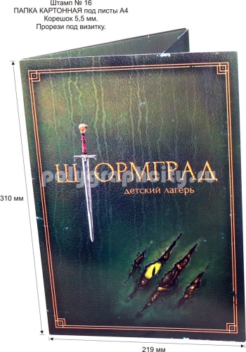 Картонная папка А4, с готового вырубного штампа №16, компании ДРУЖИТЕ.РУ                                          (лицо)