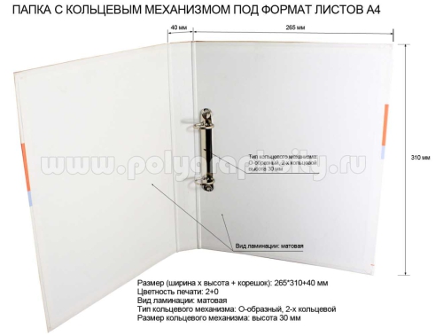 Фото разворот: ПАПКА НА КОЛЬЦАХ С 2-х КОЛЬЦЕВЫМ МЕХАНИЗМОМ ПОД ЛИСТЫ ФОРМАТА А4