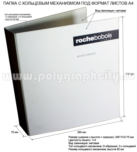 Фото лицо: ПАПКА РЕГИСТРАТОР С 2-х КОЛЬЦЕВЫМ МЕХАНИЗМОМ ПОД ЛИСТЫ ФОРМАТА А4