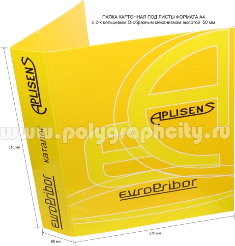 Фото: лицо - ПАПКА С 2-Х КОЛЬЦЕВЫМ МЕХАНИЗМОМ под листы формата А4 компании APLISENS