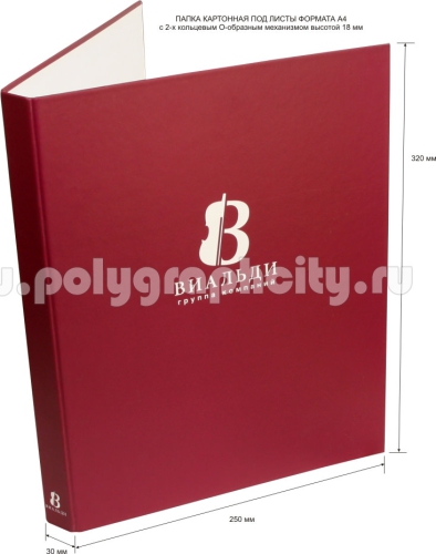 Фото: лицо - ПАПКА С 2-Х КОЛЬЦЕВЫМ МЕХАНИЗМОМ под листы формата А4 компании ВИАЛЬДИ