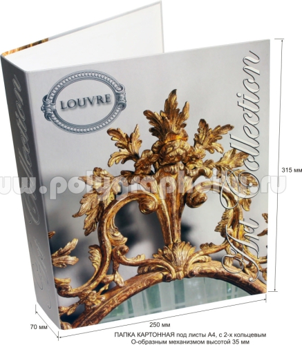 Фото: лицо - ПАПКА НА КОЛЬЦАХ под листы формата А4 компании LOUVRE