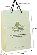 Пакет картонный вертикальный по заказу компании ИНТЕРДОРПРОЕКТ